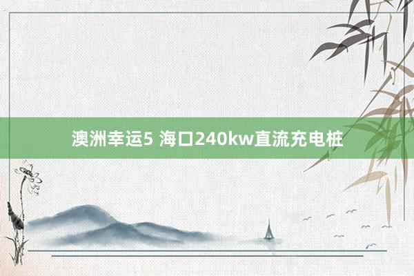 澳洲幸运5 海口240kw直流充电桩