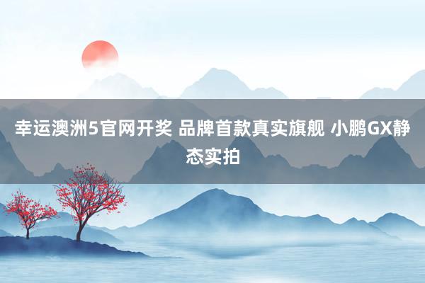 幸运澳洲5官网开奖 品牌首款真实旗舰 小鹏GX静态实拍