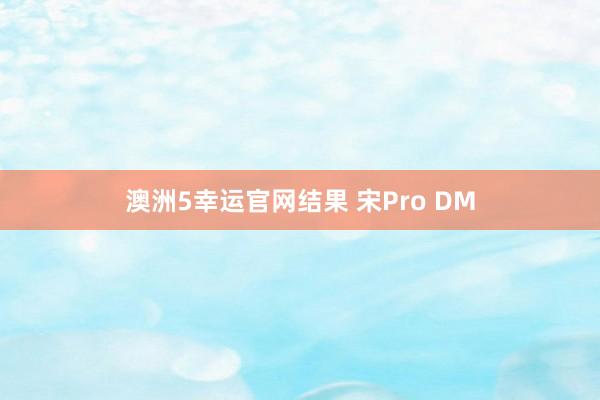 澳洲5幸运官网结果 宋Pro DM