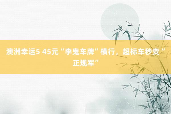 澳洲幸运5 45元“李鬼车牌”横行，超标车秒变“正规军”