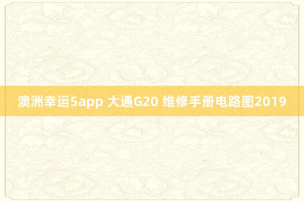 澳洲幸运5app 大通G20 维修手册电路图2019