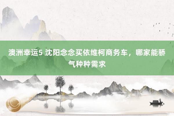 澳洲幸运5 沈阳念念买依维柯商务车，哪家能骄气种种需求
