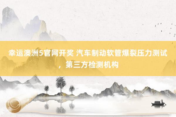 幸运澳洲5官网开奖 汽车制动软管爆裂压力测试，第三方检测机构