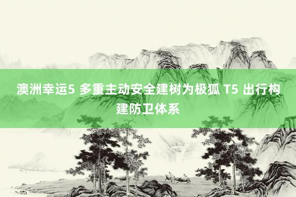 澳洲幸运5 多重主动安全建树为极狐 T5 出行构建防卫体系