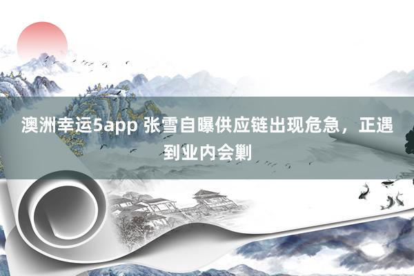 澳洲幸运5app 张雪自曝供应链出现危急，正遇到业内会剿
