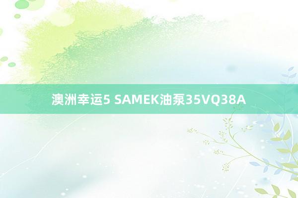 澳洲幸运5 SAMEK油泵35VQ38A