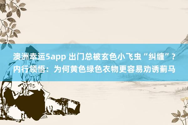 澳洲幸运5app 出门总被玄色小飞虫“纠缠”？内行领悟：为何黄色绿色衣物更容易劝诱蓟马