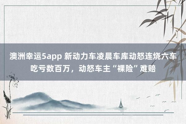 澳洲幸运5app 新动力车凌晨车库动怒连烧六车吃亏数百万，动怒车主“裸险”难赔