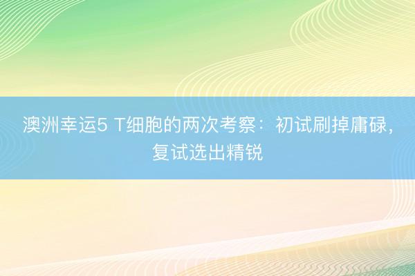 澳洲幸运5 T细胞的两次考察：初试刷掉庸碌，复试选出精锐
