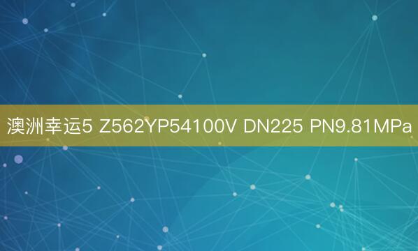 澳洲幸运5 Z562YP54100V DN225 PN9.81MPa